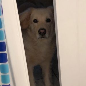 Meet your Posher, Anne